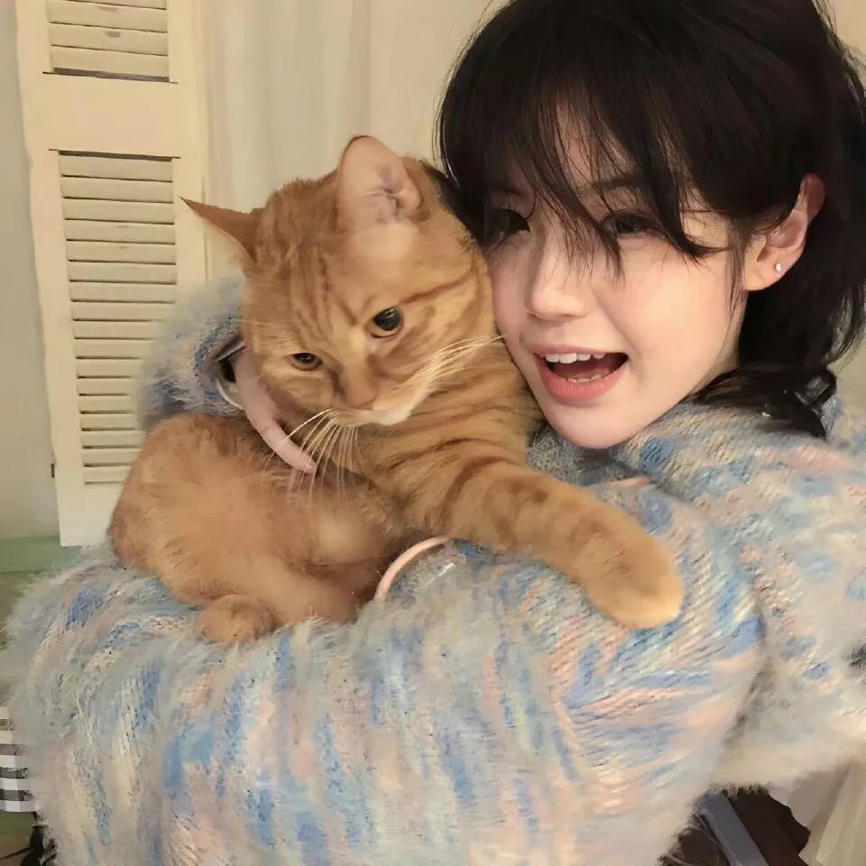 与君行
