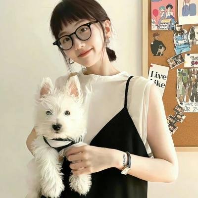 玩转好莱坞